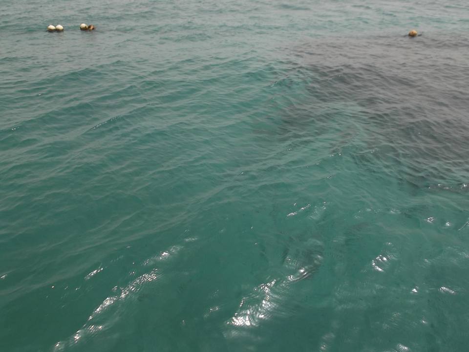 Einfach nur klasse und super sauber Pickalbatros Palace Resort