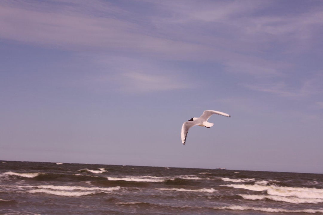 Strand Hotel am Fischerstrand