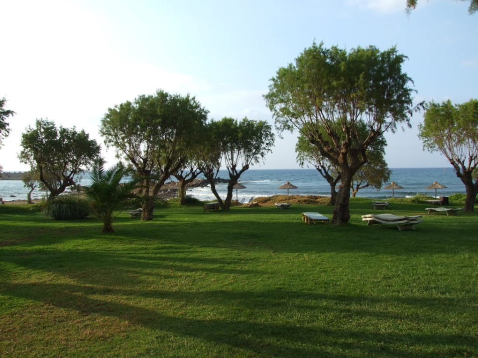 Ogród z wyjściem na plażę Phãea Cretan Malia