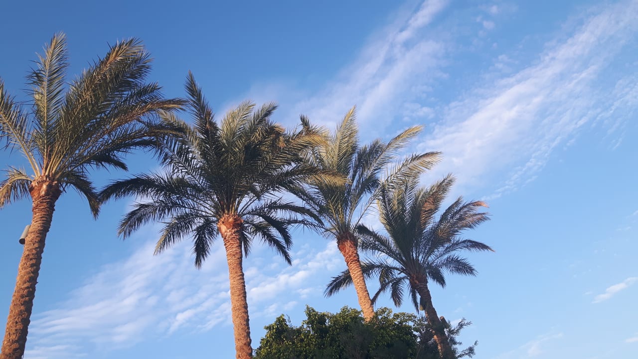 Ausblick Makadi Spa - Adults only