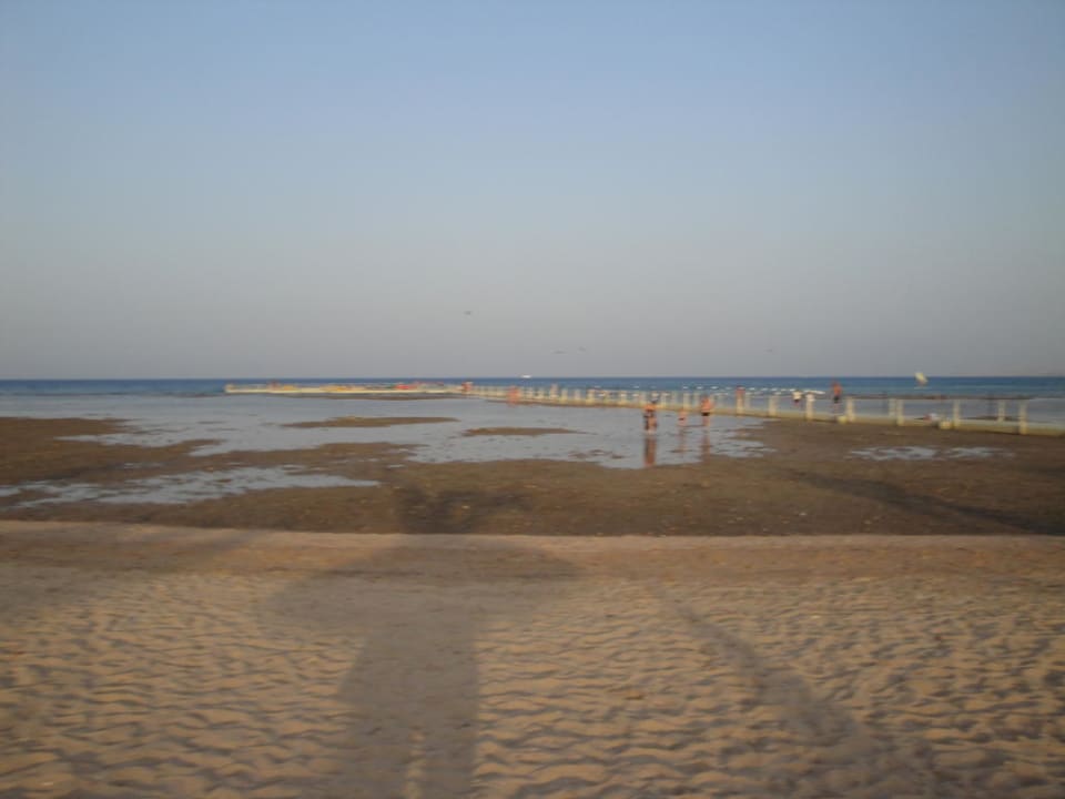 Meer Pickalbatros Palace Resort