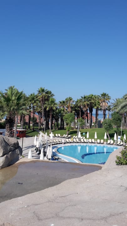 Pool Monachus Family Resort Sorgun