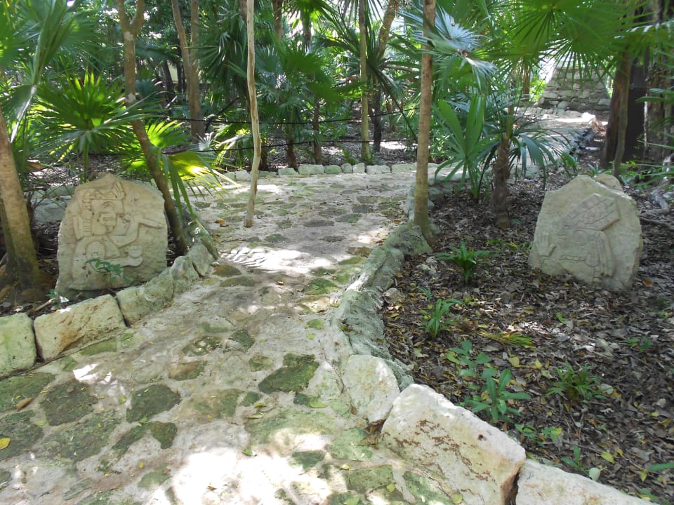 Gartenanlage Sandos Caracol Eco Resort