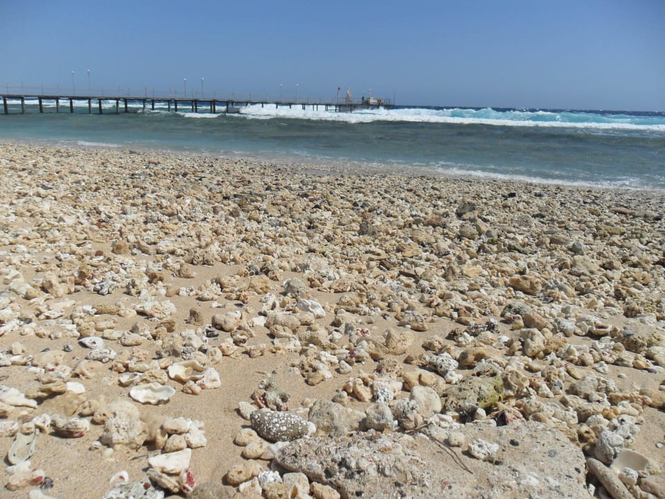 Strand jenseits des Hotels Three Corners Sea Beach Resort