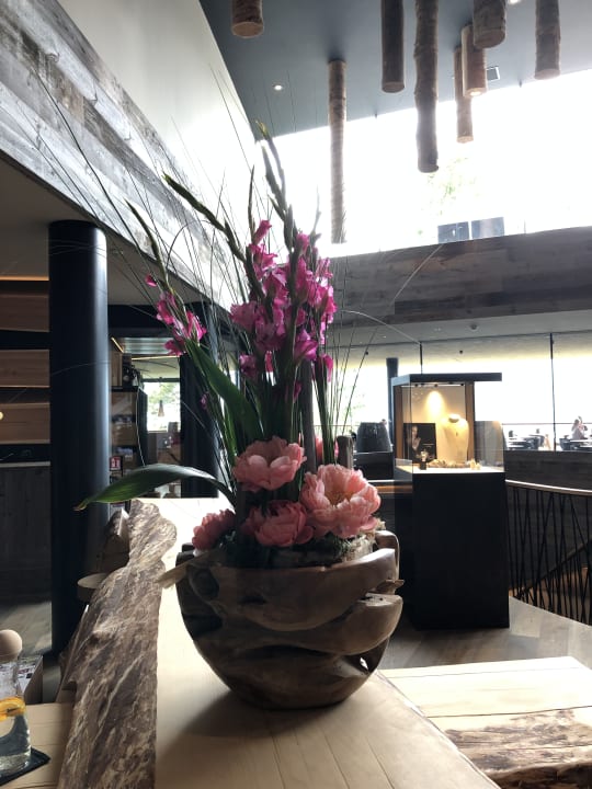 Lobby My Arbor - Dolomites