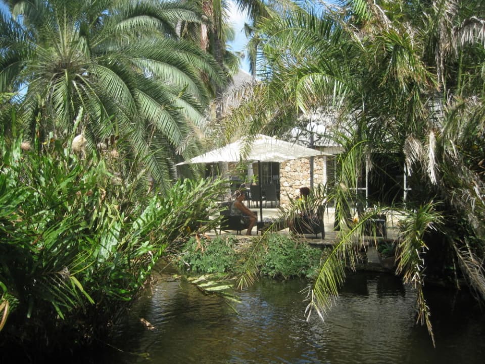 Parkanlage Bahari Beach Hotel