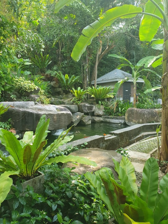 Gartenanlage Moracea by Khao Lak Resort