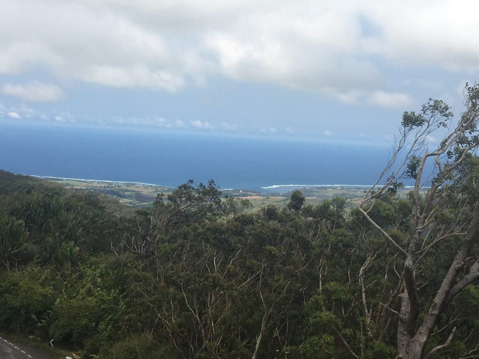 Ausblick Tropical Attitude - Adults only