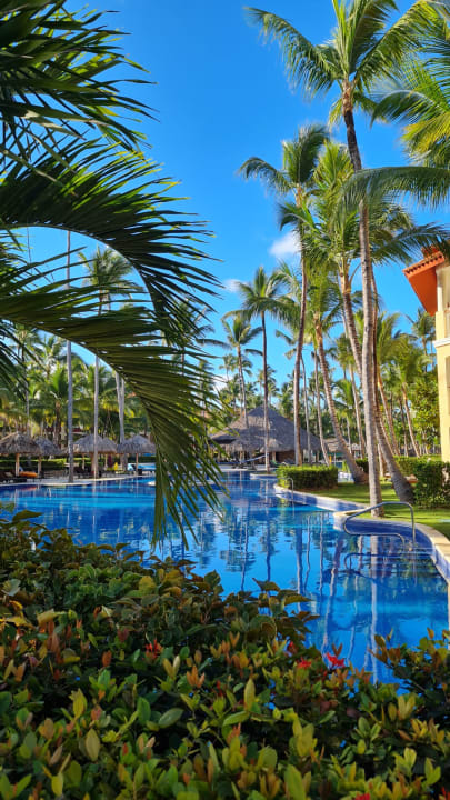 Pool Majestic Elegance Punta Cana