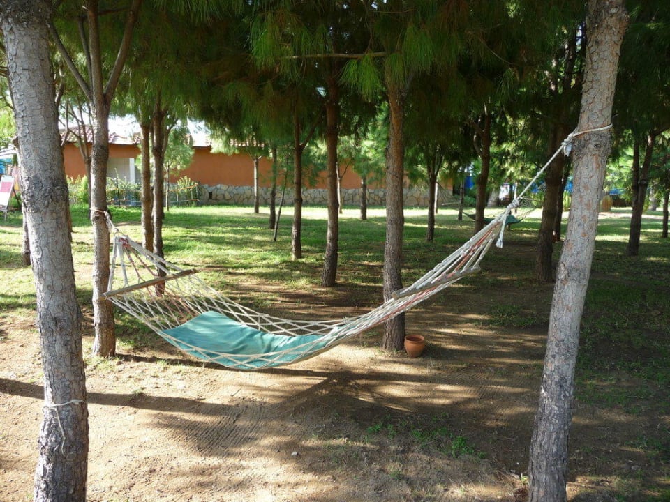 Gartenanlage Club Turtas Beach Hotel