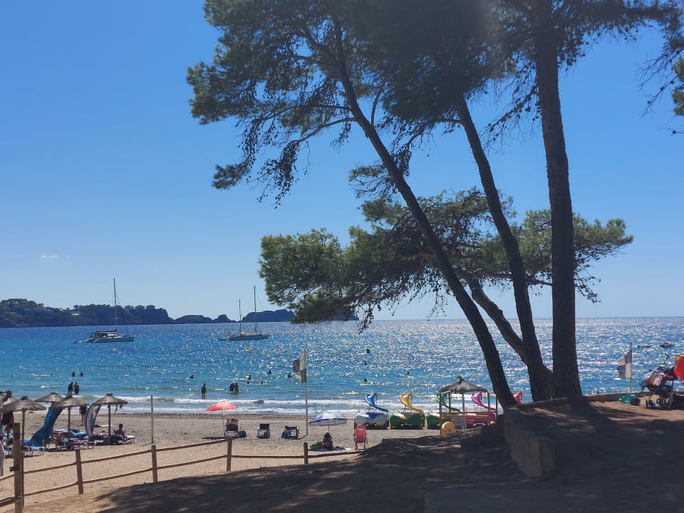 Strand Valentin Reina Paguera