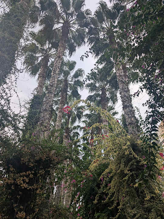 Außenansicht Hotel Gardenia Beach