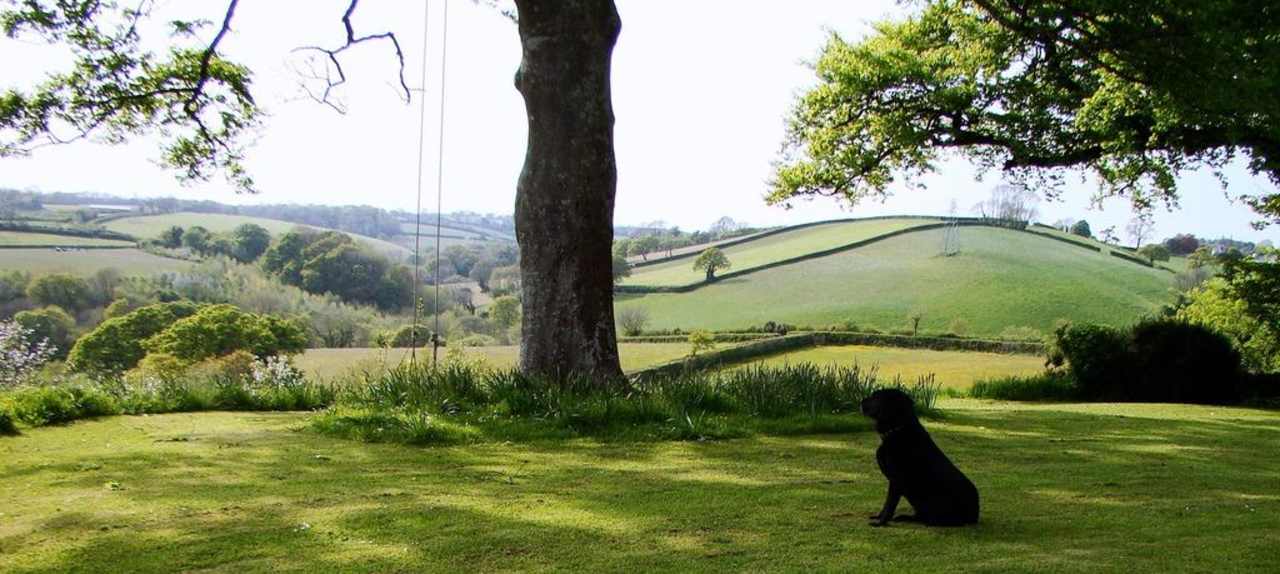 Merlin on the Front Lawn Hotel Lantallack Getaways
