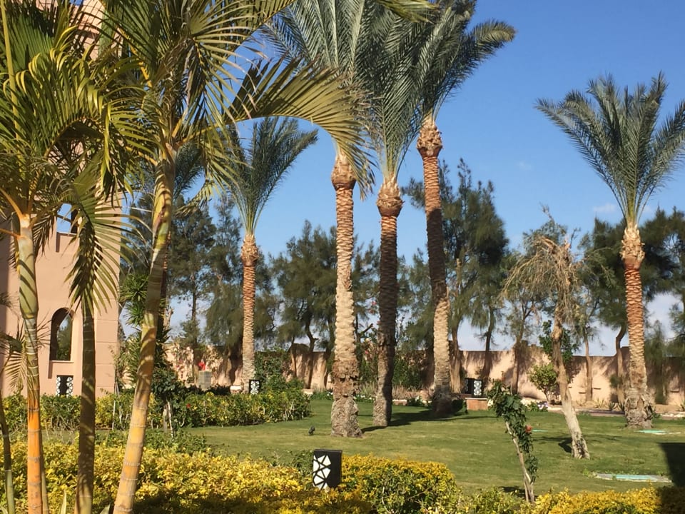 Gartenanlage Pickalbatros Aqua Vista Resort - Hurghada