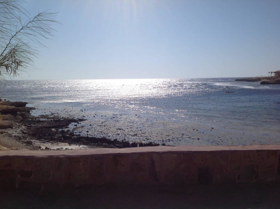 Riff Steigenberger Coraya Beach - Adults only