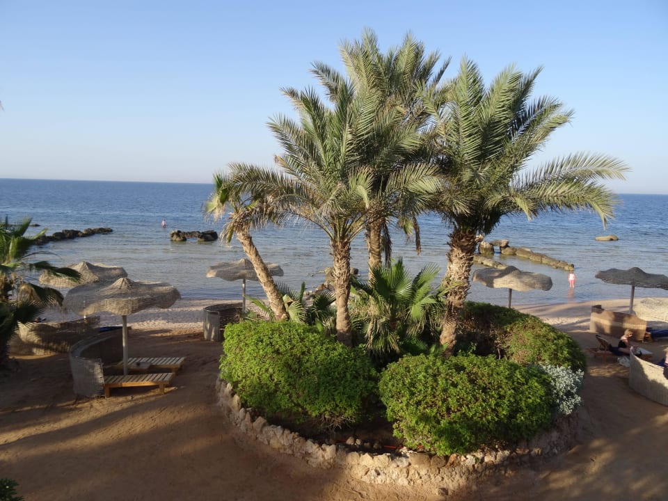 Blick auf eine der vielen Buchten Pickalbatros Citadel Resort