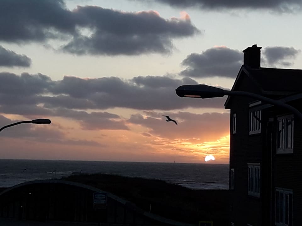 Zimmer Sleeping by Van Beelen