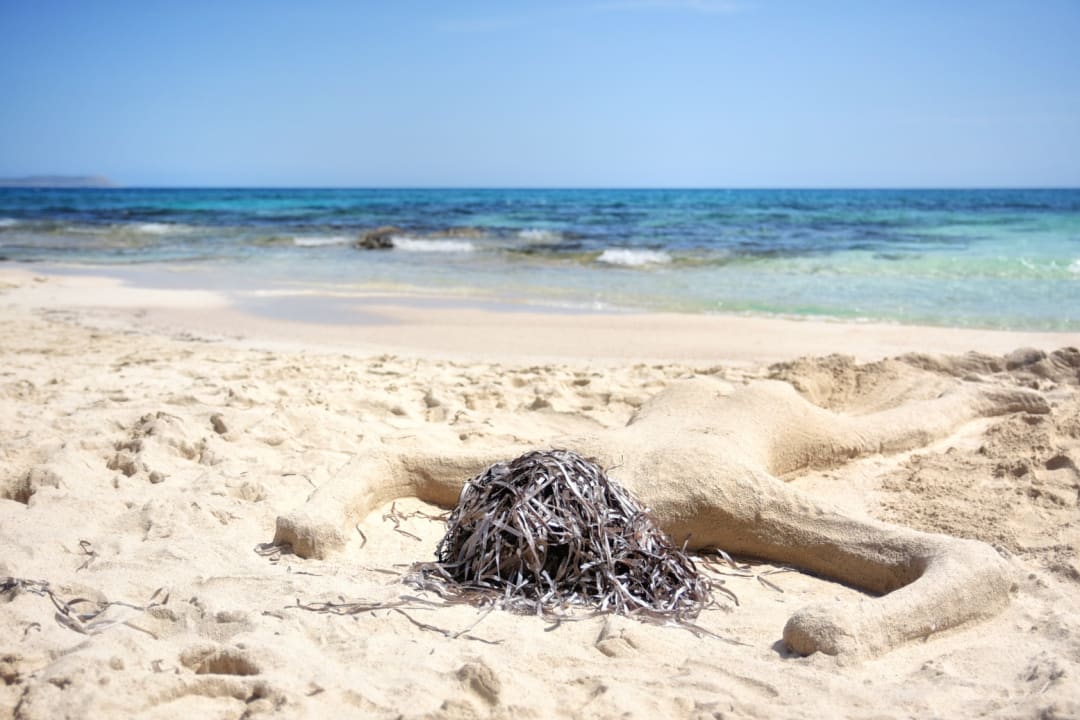 Strand Asterias Beach