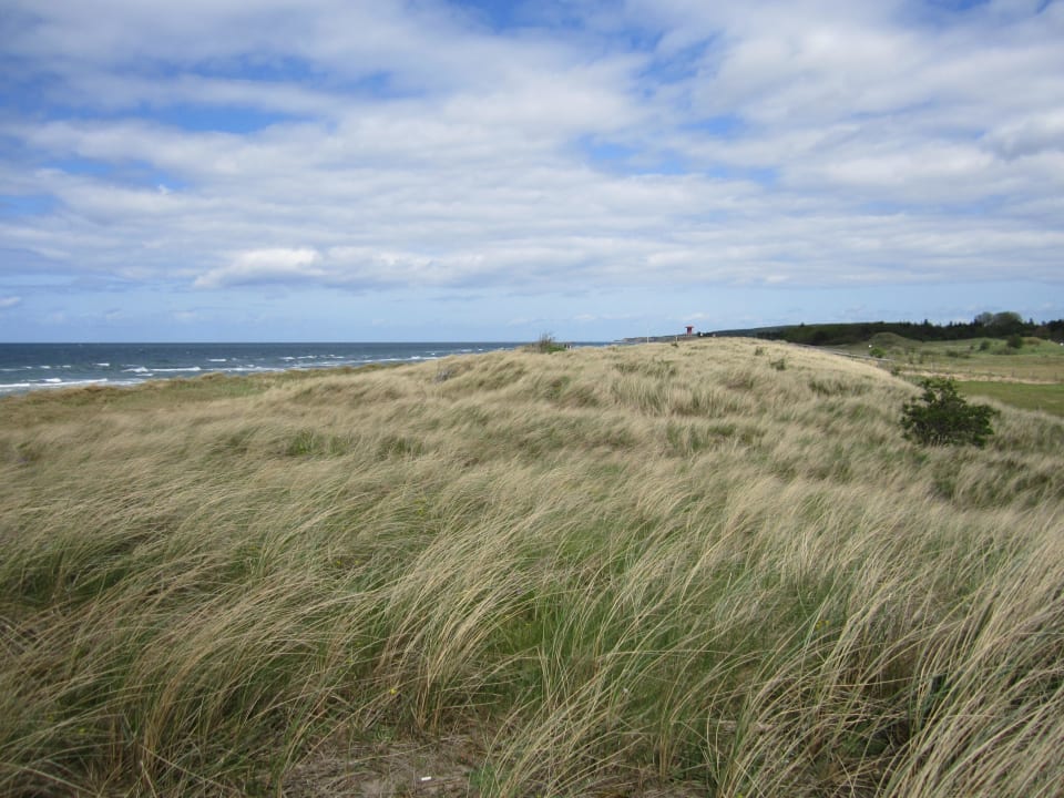 Ausblick vom Deich Ferienwohnungen Ferienpark Weissenhäuser Strand