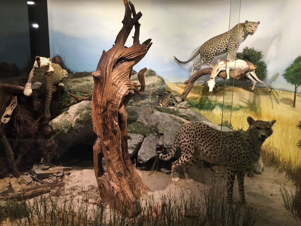 Auf der 'Afrika-Etage'...  Hotel Klostergut Jakobsberg