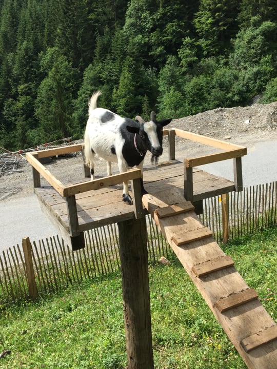 Sport & Freizeit Highking Chalet Grünegg