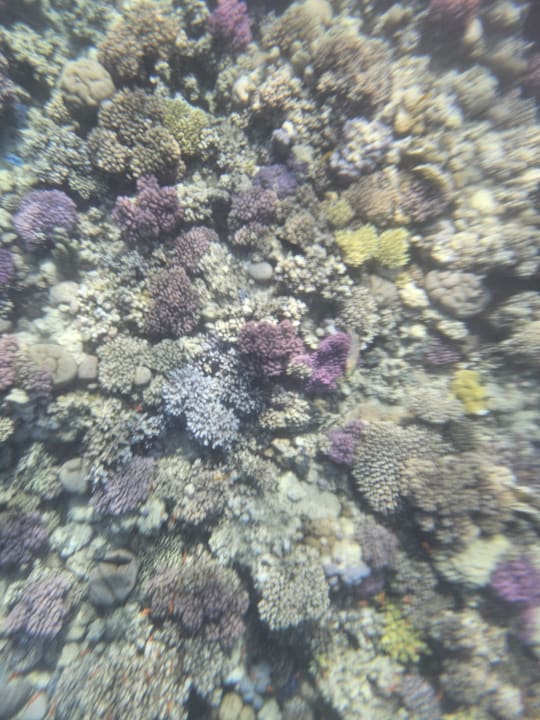 Sport & Freizeit Makadi Spa - Adults only