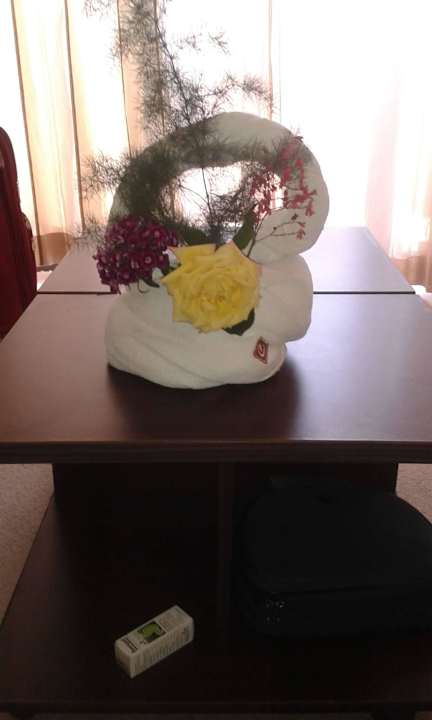 Begrüßung durch den Zimmer-Service Hotel Cazablanka / Casablanca