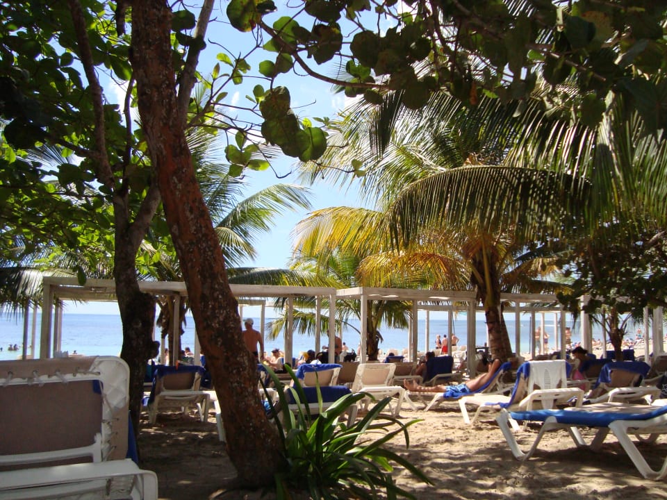 Bäume und Pavillions spenden Schatten Emotions By Hodelpa - Juan Dolio All Inclusive
