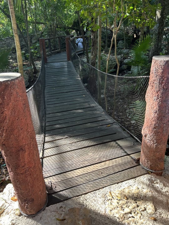 Gartenanlage Iberostar Waves Tucan