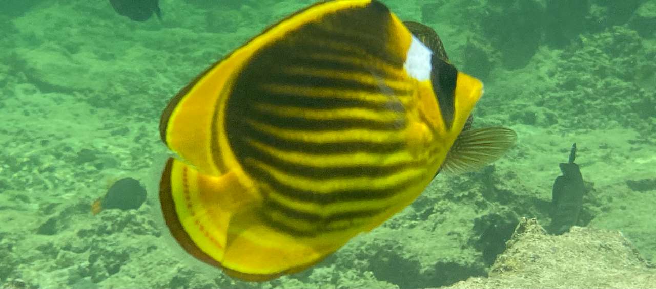 Strand Three Corners Happy Life Beach Resort