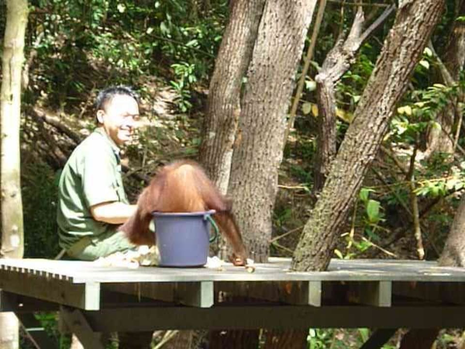 Hoteleigenes Orang Utan Reservat Shangri-La's Rasa Ria Resort & Spa