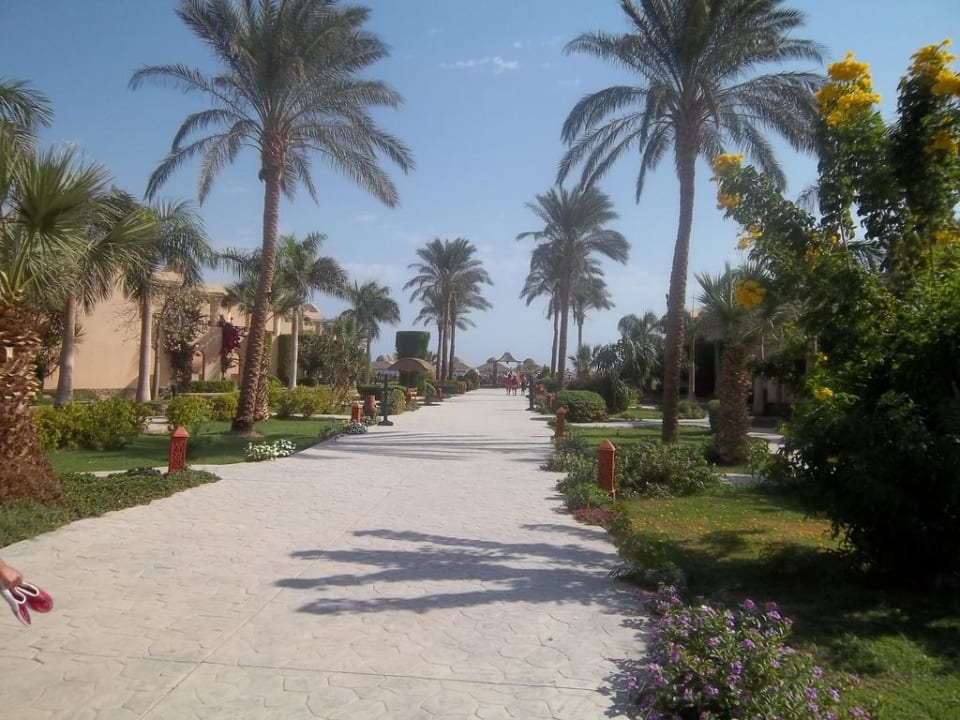 Der Weg zum Strand Ali Baba Palace Hotel