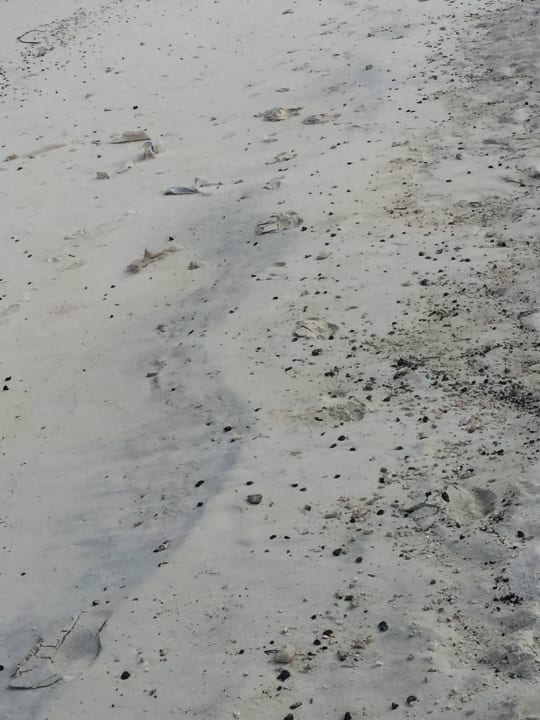 Kleine Steine und Korallen Summer Island Maldives