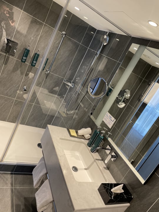 Zimmer Hilton Vienna Plaza