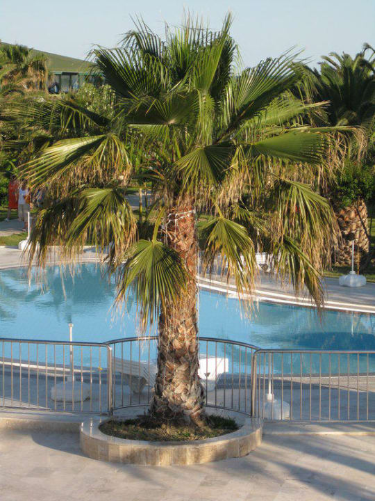 Pool VONRESORT Golden Beach
