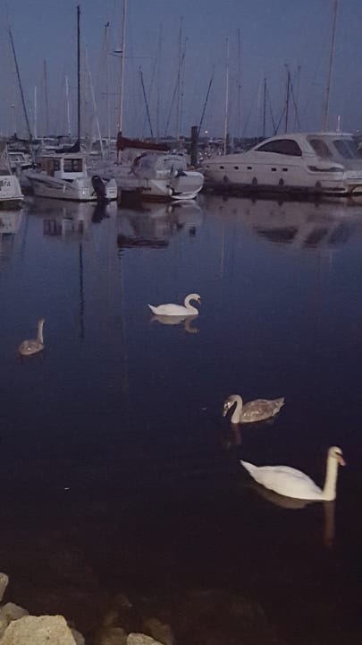 Ausblick Lindner Hotel Boltenhagen, part of JdV by Hyatt