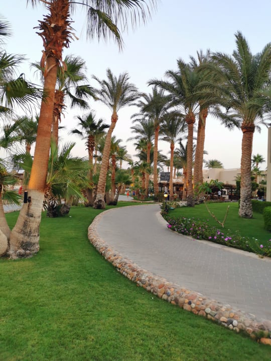 Gartenanlage Jaz Makadi Oasis Resort