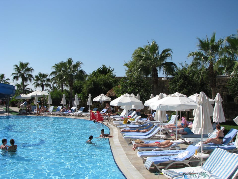 Basen Palmeras Beach Hotel