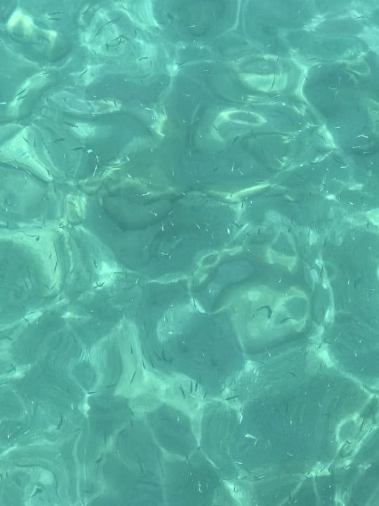 Strand Crystal De Luxe