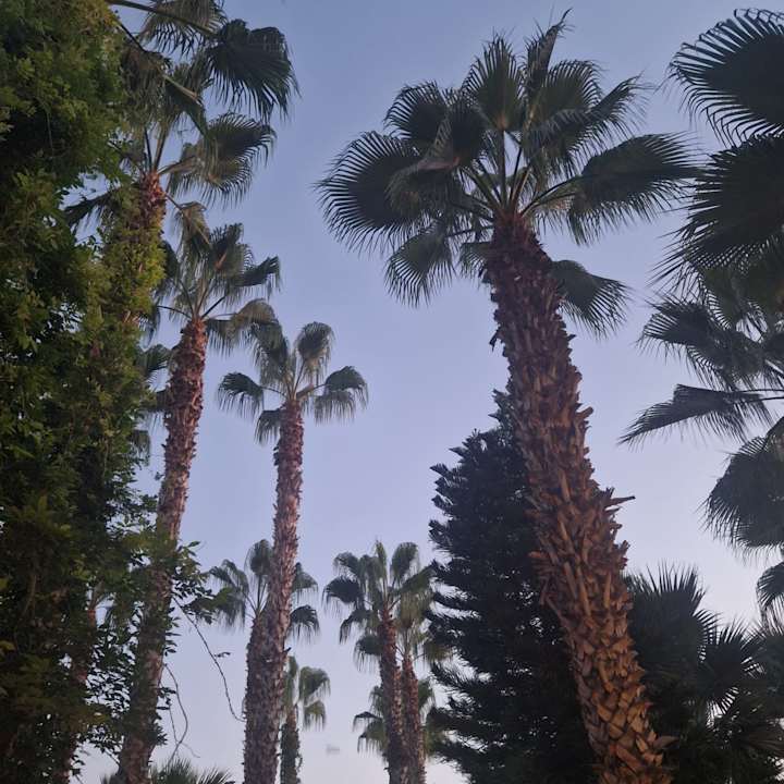Gartenanlage Hane Family Resort