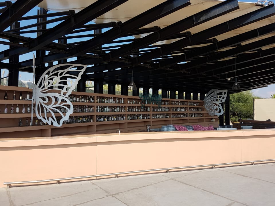 Gartenanlage Xanadu Resort Hotel