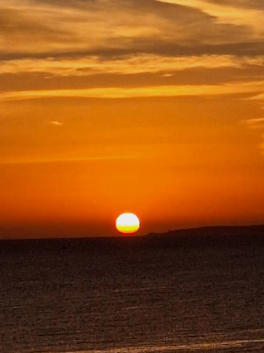 Ausblick allsun Hotel Pil-lari Playa
