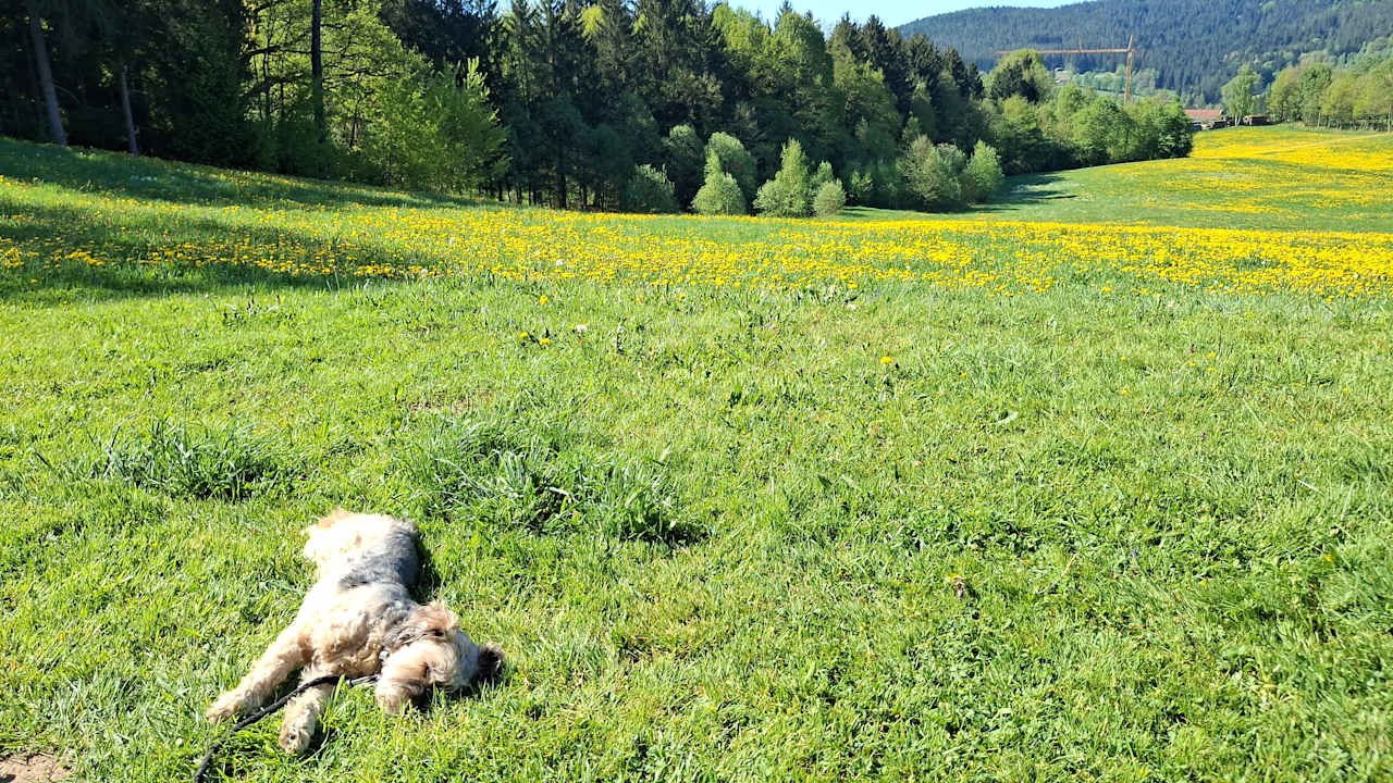 Außenansicht Erlebnisbauernhof Achatz