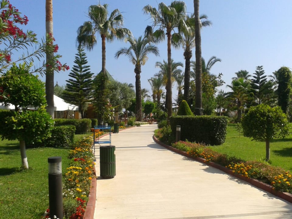 Gartenanlage Saphir Resort & Spa