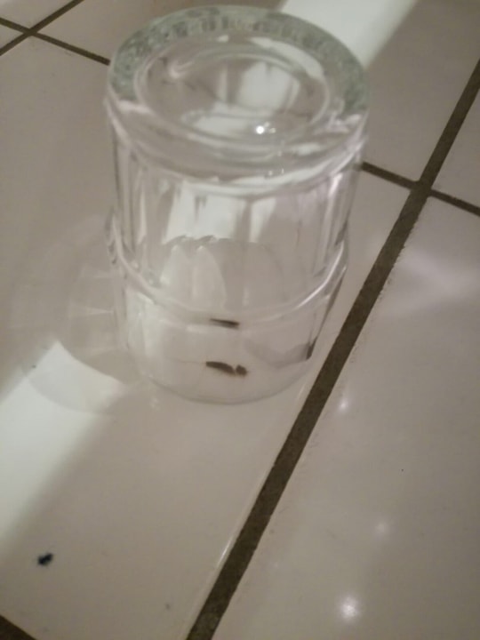 Zimmer Hotel Domicil Hamburg by Golden Tulip