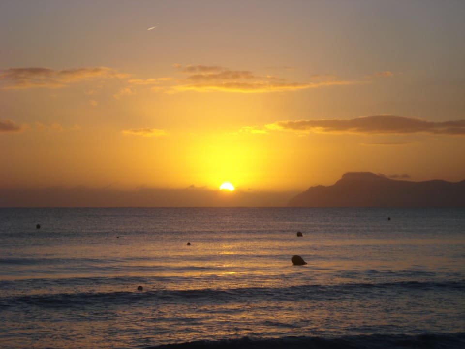 Sonnenaufgang Iberostar Selection Albufera Park