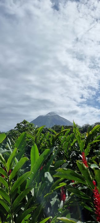 Ausblick Amor Arenal Adults Friendly