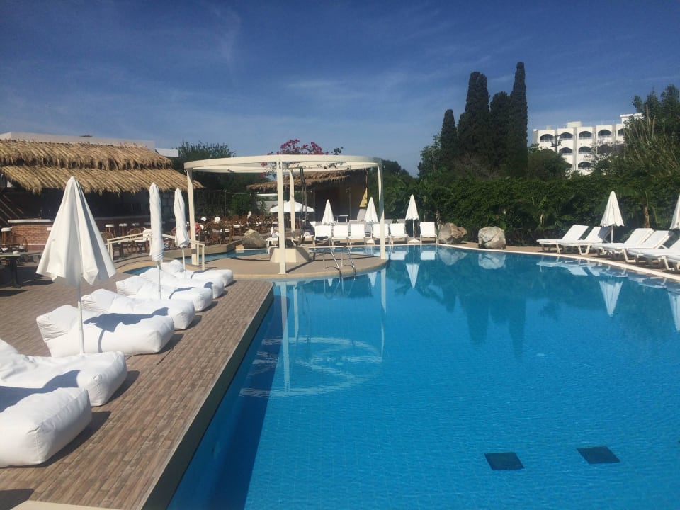 Pool area Hotel Palm Beach - Adults only