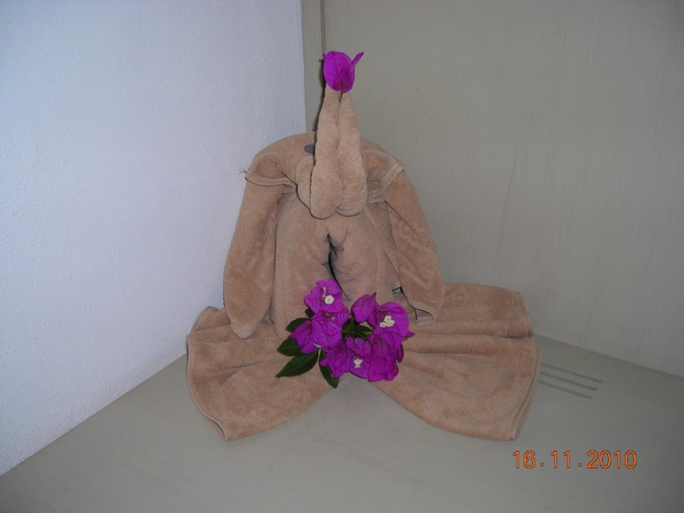 Handtuch-Elefant von der Putzfrau SBH Hotel Taro Beach