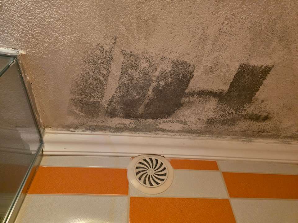 Zimmer Solana by Yelken